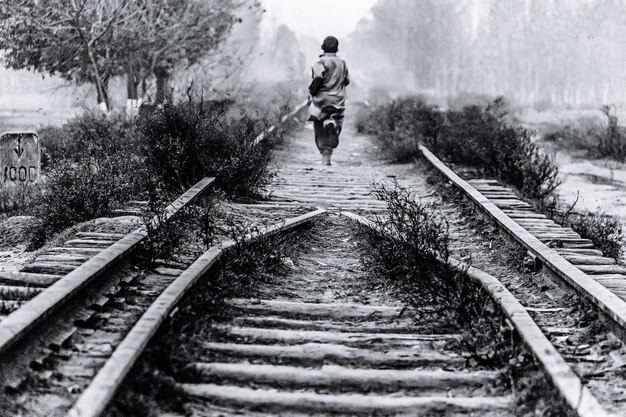 Dlaczego życie jest jak tramwaj?