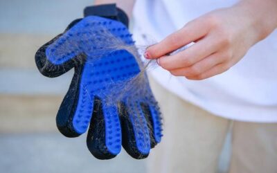 Jak zmierzyć rozmiar rękawiczki w domowych warunkach?