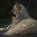 Trampoliny ile kcal można spalić podczas skakania?